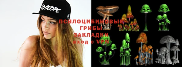 тгк Алзамай