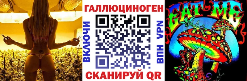 OMG ТОР  Ртищево  Псилоцибиновые грибы прущие грибы 